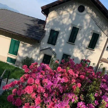 公寓 Foresterie Magnolia