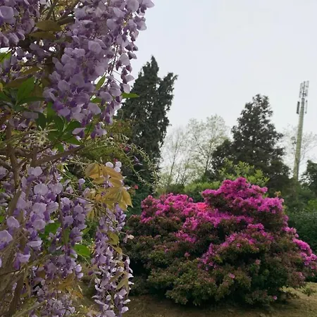 Foresterie Magnolia Belgirate
