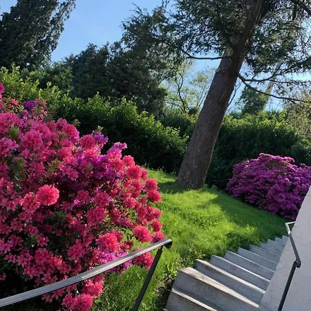 公寓 Foresterie Magnolia *