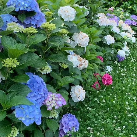 Foresterie Magnolia Διαμέρισμα