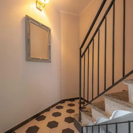 Foresterie Magnolia 贝尔吉拉泰