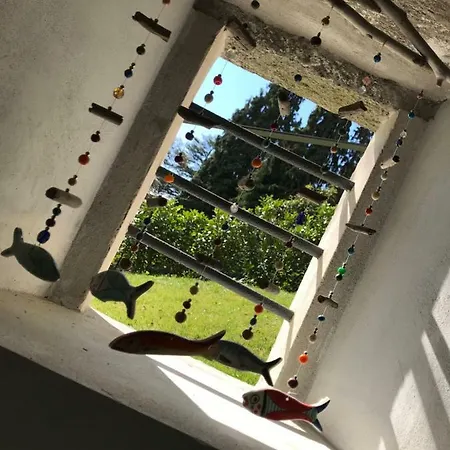 Διαμέρισμα Foresterie Magnolia Belgirate