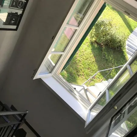 Foresterie Magnolia *