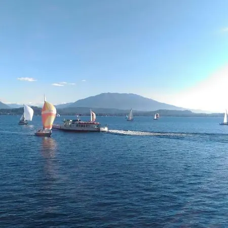 Foresterie Magnolia * 벨지라테